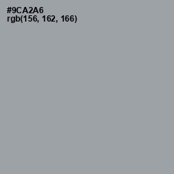 #9CA2A6 - Pewter Color Image