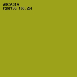 #9CA31A - Citron Color Image