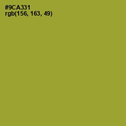 #9CA331 - Sushi Color Image