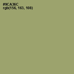#9CA36C - Olivine Color Image