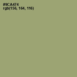 #9CA474 - Olivine Color Image