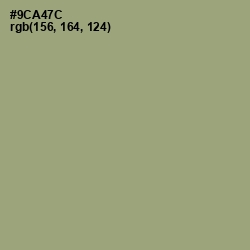 #9CA47C - Olivine Color Image