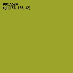 #9CA52A - Sushi Color Image