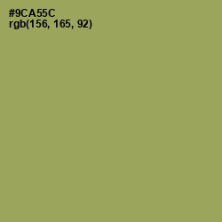 #9CA55C - Chelsea Cucumber Color Image