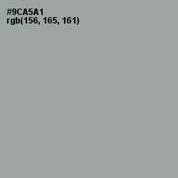 #9CA5A1 - Pewter Color Image