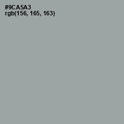 #9CA5A3 - Pewter Color Image