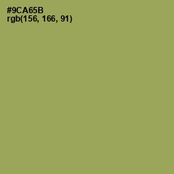 #9CA65B - Chelsea Cucumber Color Image