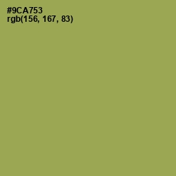 #9CA753 - Chelsea Cucumber Color Image