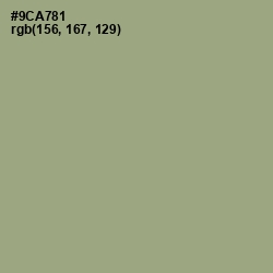 #9CA781 - Sage Color Image