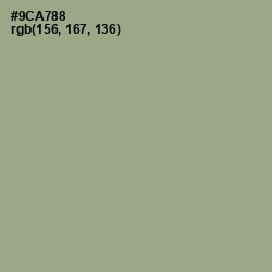 #9CA788 - Sage Color Image