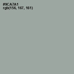 #9CA7A1 - Pewter Color Image