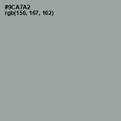 #9CA7A2 - Pewter Color Image