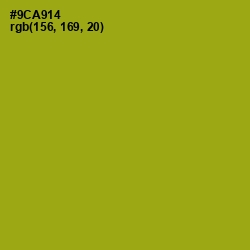 #9CA914 - Citron Color Image