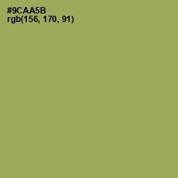 #9CAA5B - Chelsea Cucumber Color Image