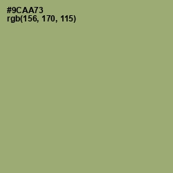 #9CAA73 - Olivine Color Image