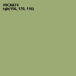 #9CAA74 - Olivine Color Image