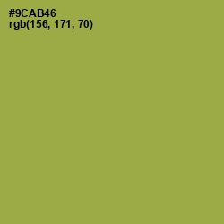 #9CAB46 - Chelsea Cucumber Color Image