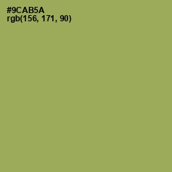 #9CAB5A - Chelsea Cucumber Color Image