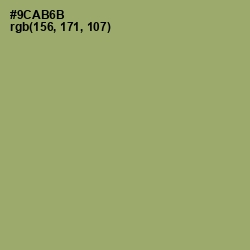 #9CAB6B - Olivine Color Image