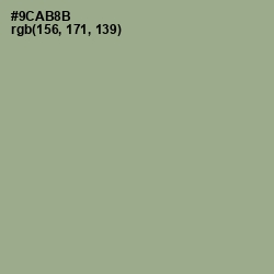 #9CAB8B - Sage Color Image