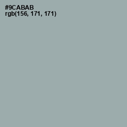 #9CABAB - Pewter Color Image