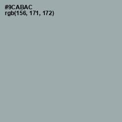 #9CABAC - Pewter Color Image