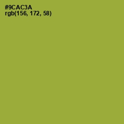 #9CAC3A - Sushi Color Image