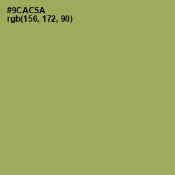 #9CAC5A - Chelsea Cucumber Color Image