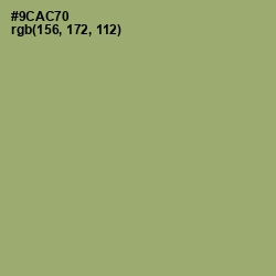 #9CAC70 - Olivine Color Image