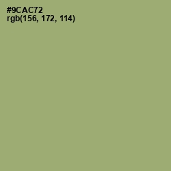 #9CAC72 - Olivine Color Image