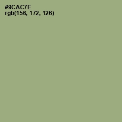 #9CAC7E - Olivine Color Image