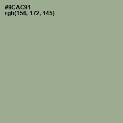 #9CAC91 - Sage Color Image