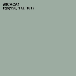 #9CACA1 - Pewter Color Image