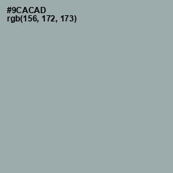 #9CACAD - Pewter Color Image