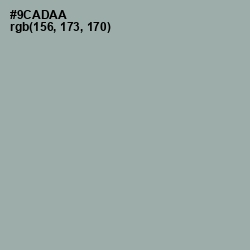 #9CADAA - Pewter Color Image