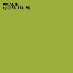 #9CAE3B - Sushi Color Image
