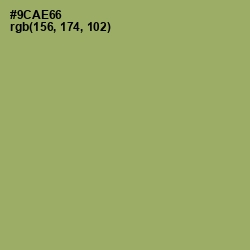 #9CAE66 - Olivine Color Image