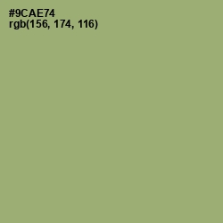 #9CAE74 - Olivine Color Image
