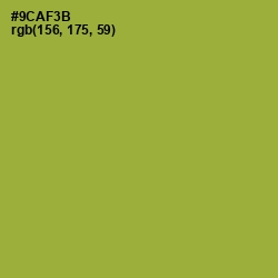 #9CAF3B - Sushi Color Image