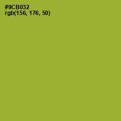 #9CB032 - Sushi Color Image