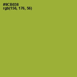 #9CB038 - Sushi Color Image