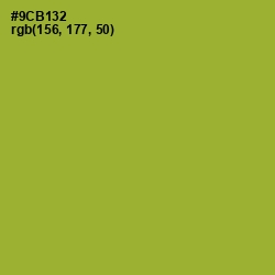 #9CB132 - Sushi Color Image