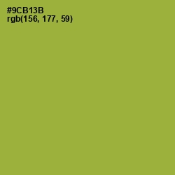 #9CB13B - Sushi Color Image