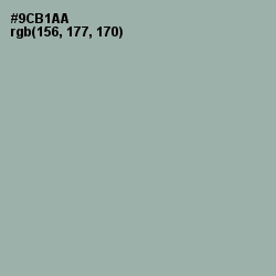 #9CB1AA - Summer Green Color Image