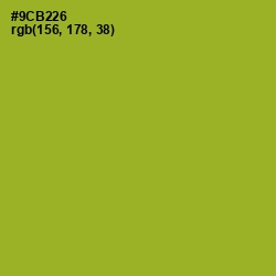 #9CB226 - Sushi Color Image