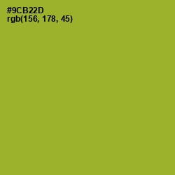 #9CB22D - Sushi Color Image