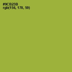 #9CB23B - Sushi Color Image