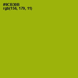 #9CB30B - Citron Color Image