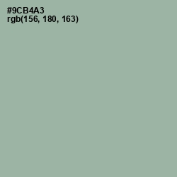 #9CB4A3 - Summer Green Color Image