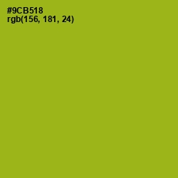 #9CB518 - Citron Color Image